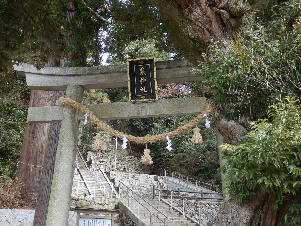 a0279738_2231728.jpg