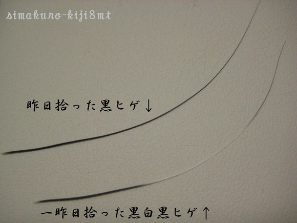 f0247039_1221666.jpg