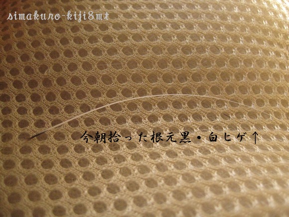 f0247039_12245310.jpg