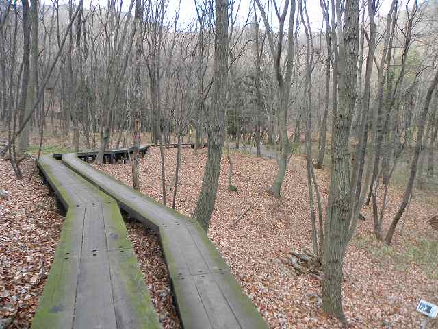 d0131847_2144891.jpg