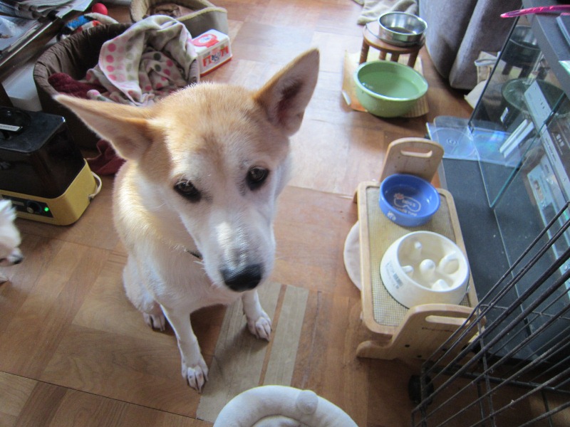 b0072650_12315352.jpg