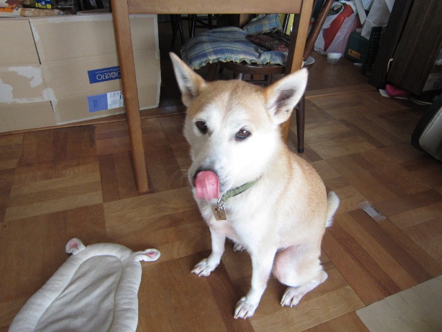 b0072650_12345990.jpg