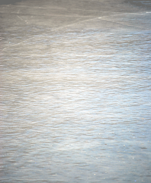 a0001354_19591576.gif