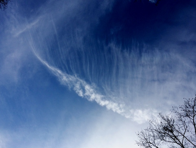 b0173754_15392867.jpg