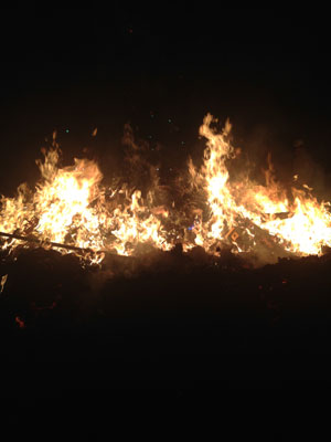 c0050264_1045361.jpg