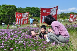 d0239667_16123628.jpg