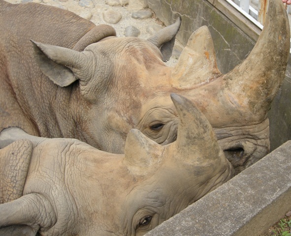 e0266067_23381129.jpg