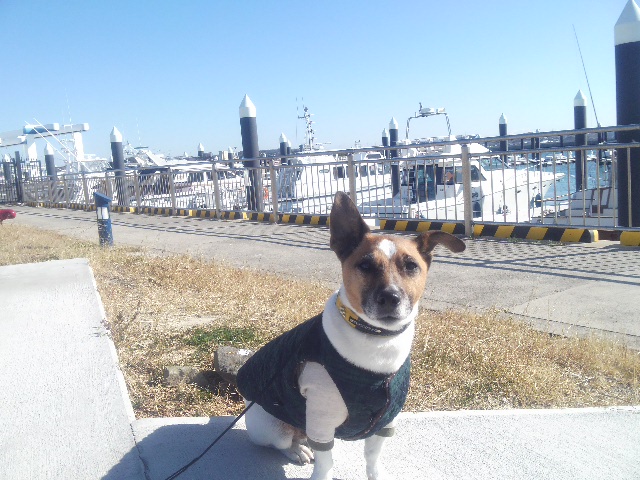 f0100871_22481464.jpg