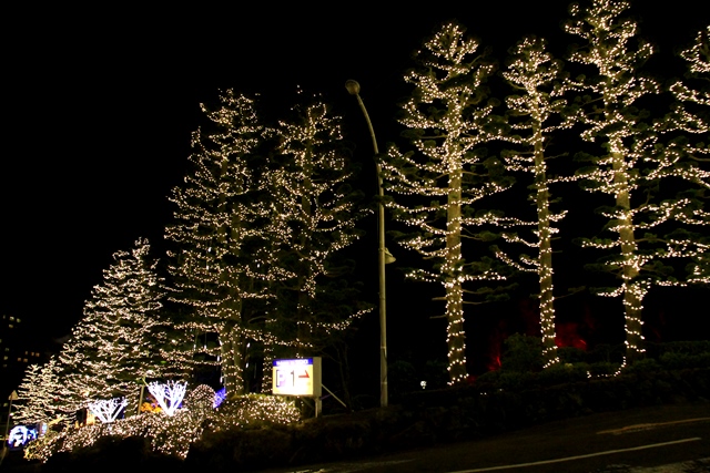 d0126577_20585853.jpg