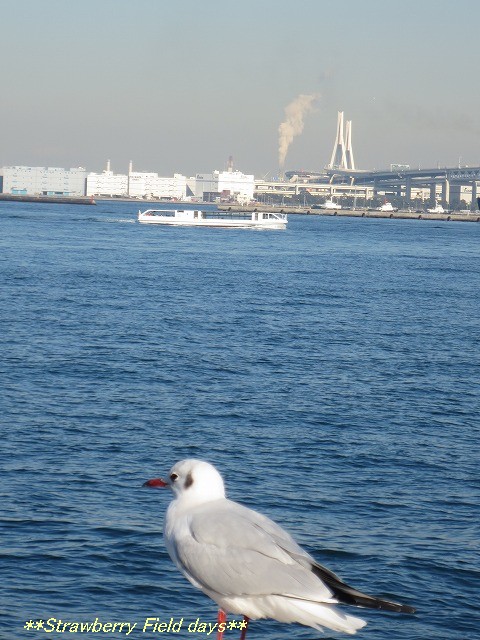 c0087094_219944.jpg