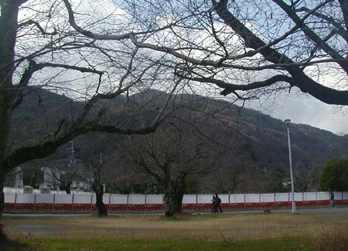 d0053294_05608.jpg