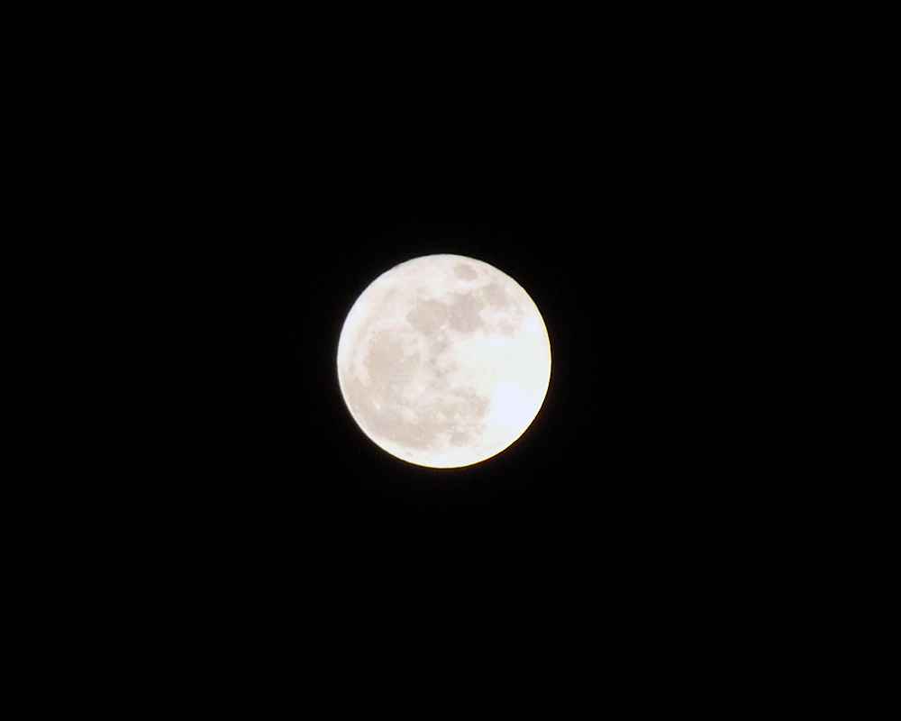 b0172203_19281855.jpg