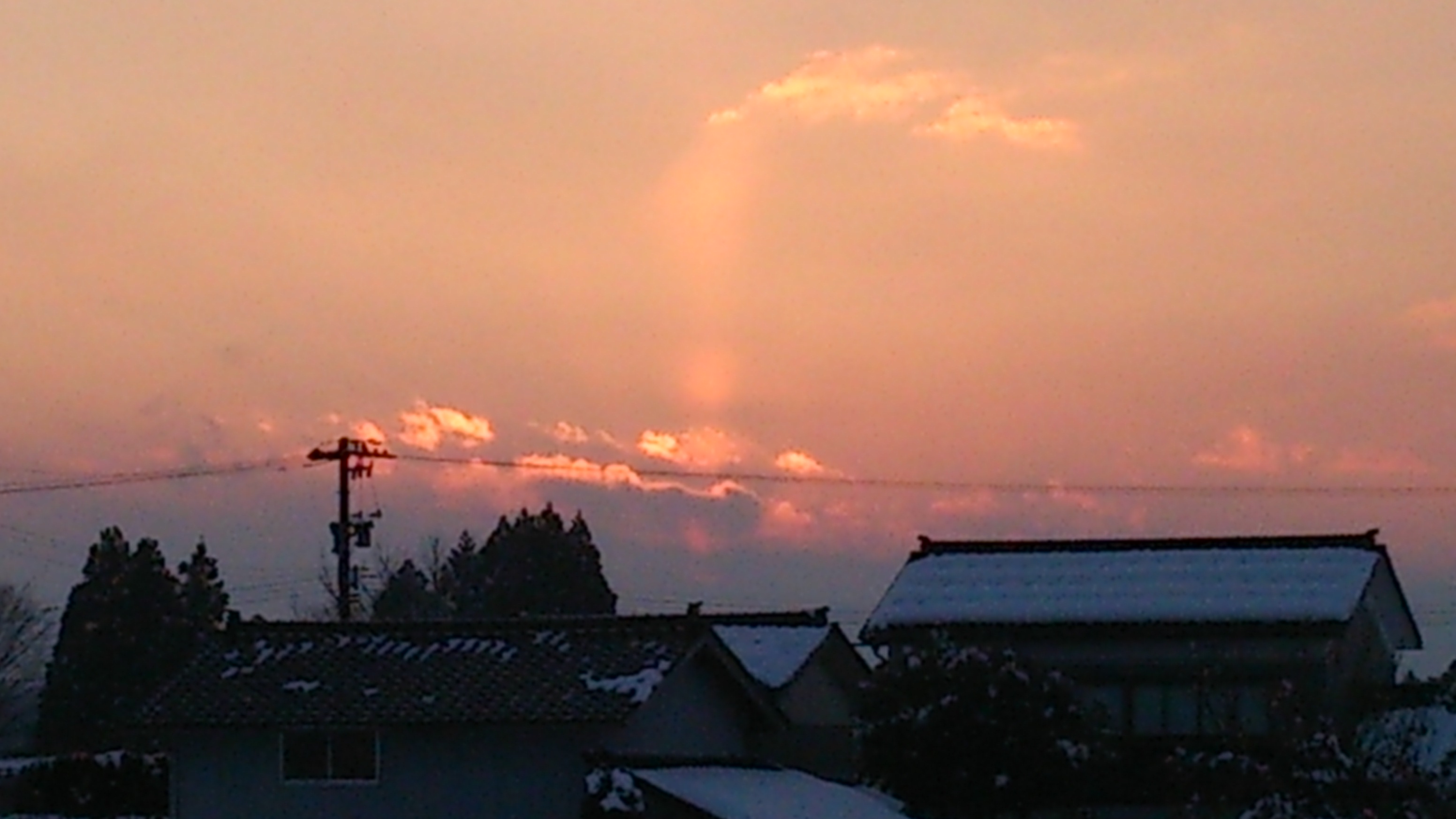 a0119132_1727642.jpg