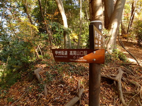 b0281732_154239.jpg