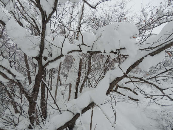 f0118332_0541799.jpg