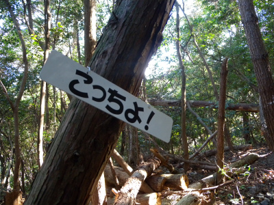 e0272335_45565.jpg