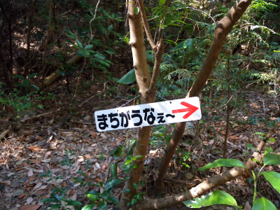 e0272335_4581111.jpg