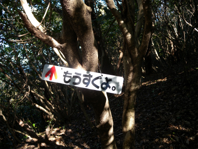 e0272335_505513.jpg