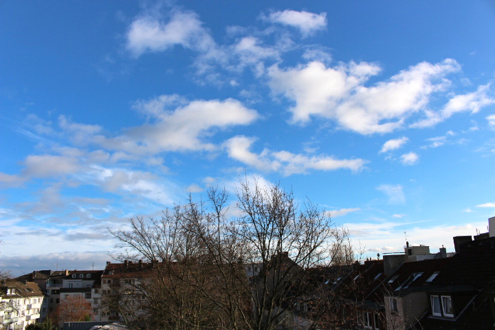 c0153740_21424593.jpg