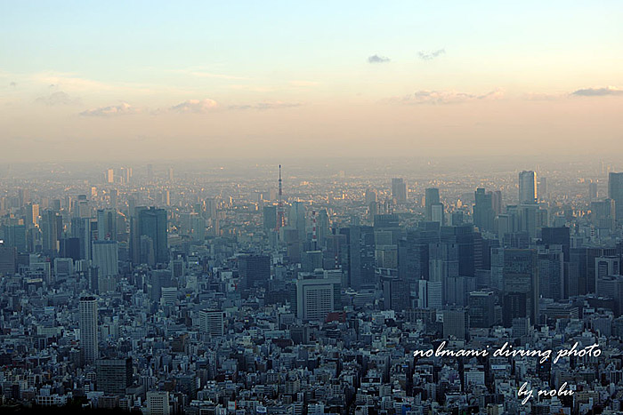 d0237353_912473.jpg