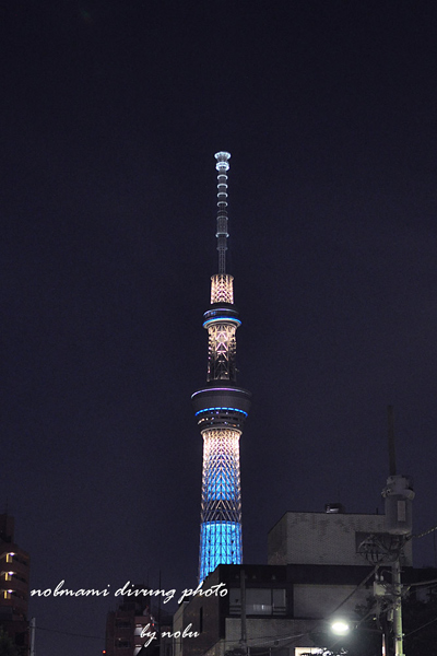 d0237353_9165791.jpg
