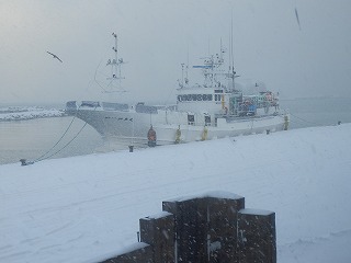 e0004756_2192858.jpg