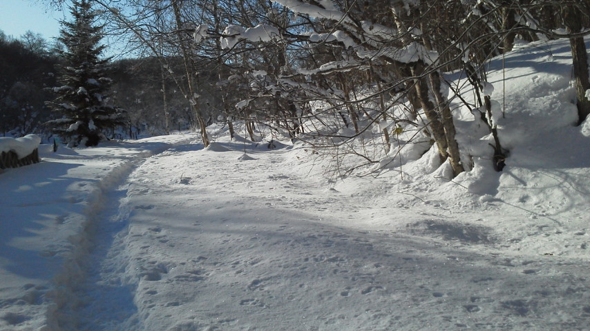 e0120466_17232140.jpg