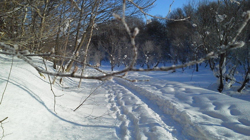 e0120466_17233139.jpg
