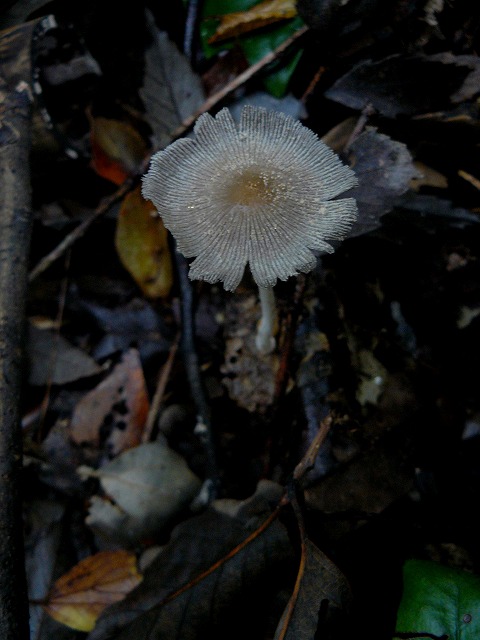 d0019074_9434034.jpg