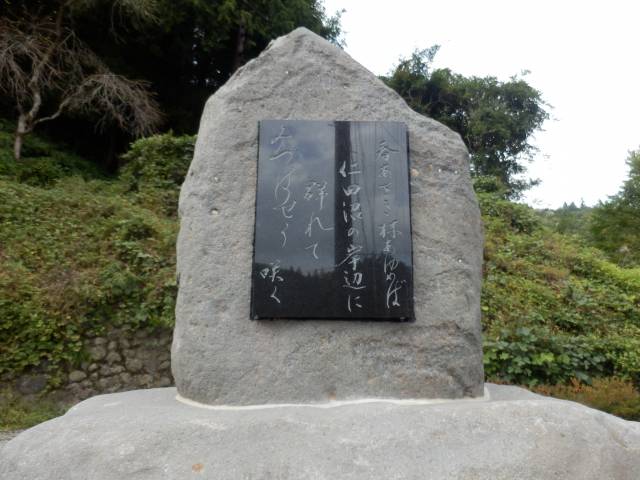d0176186_1853861.jpg