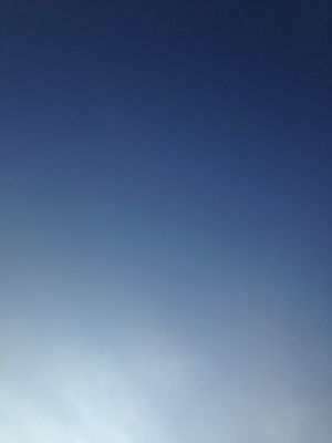 f0138995_1124289.jpg