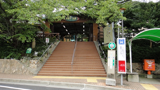 d0004301_946273.jpg
