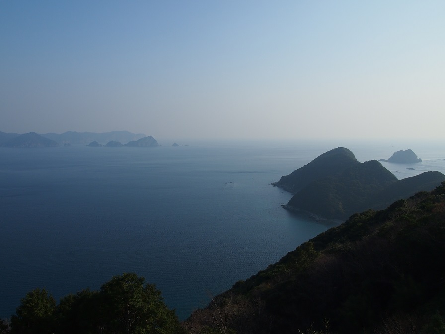 d0078203_1355796.jpg