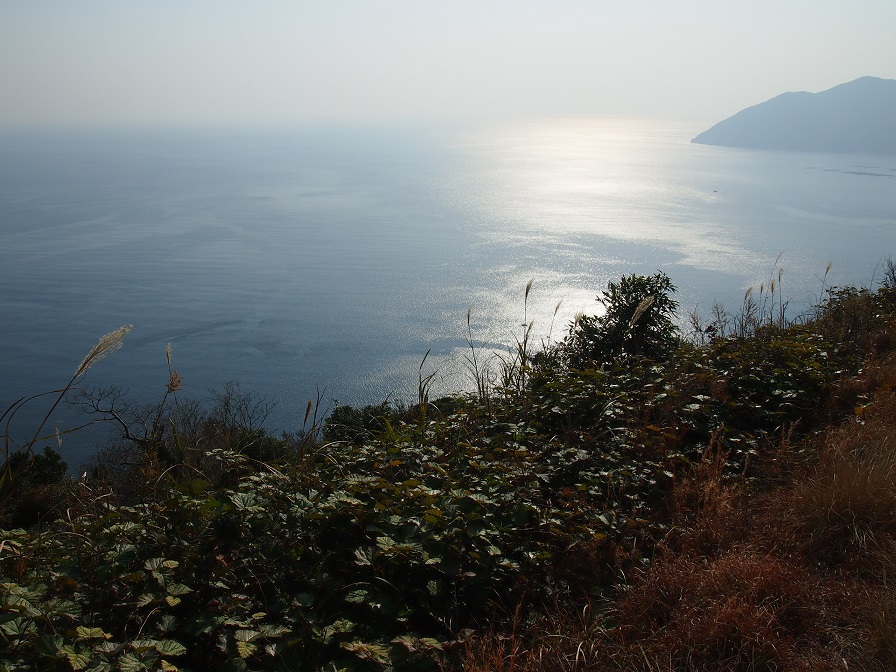 d0078203_1364535.jpg
