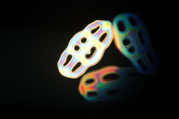 c0164709_17074975.jpg