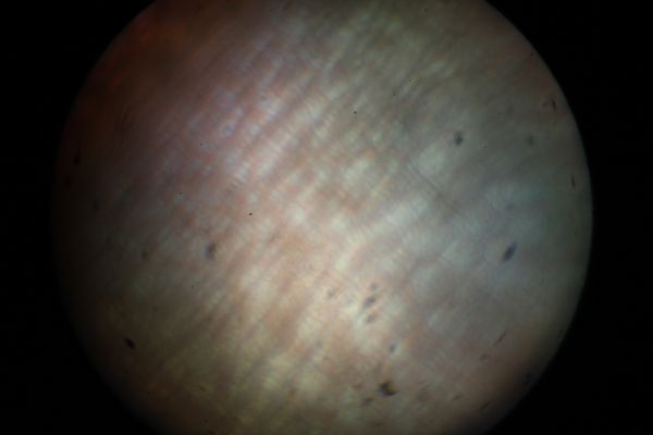 c0164709_17075297.jpg
