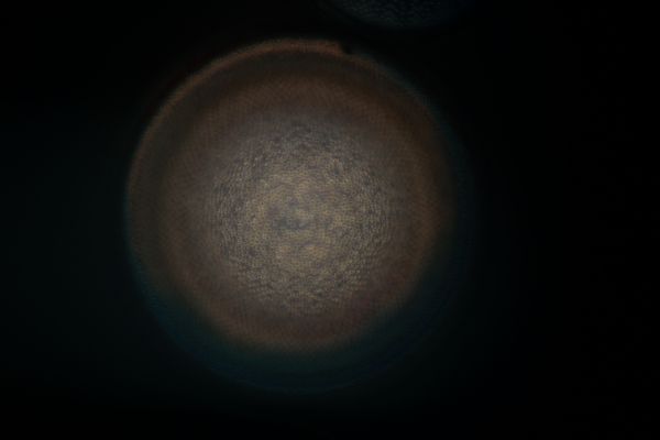 c0164709_17075958.jpg