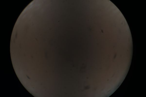 c0164709_17080439.jpg