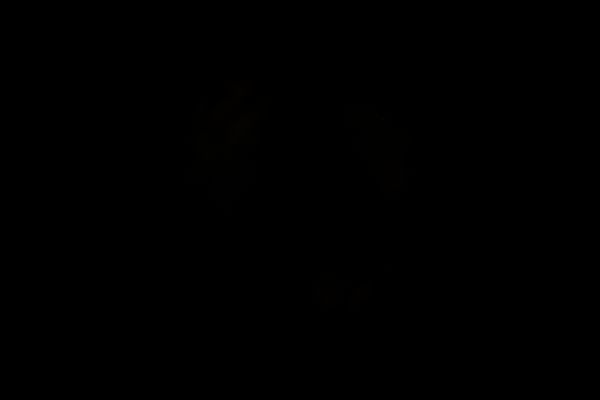 c0164709_17081104.jpg