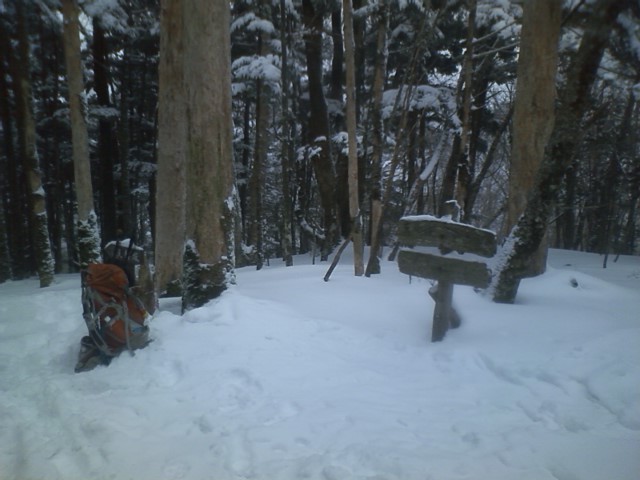 d0006512_13151970.jpg