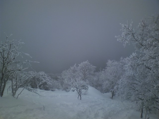 d0006512_13194681.jpg