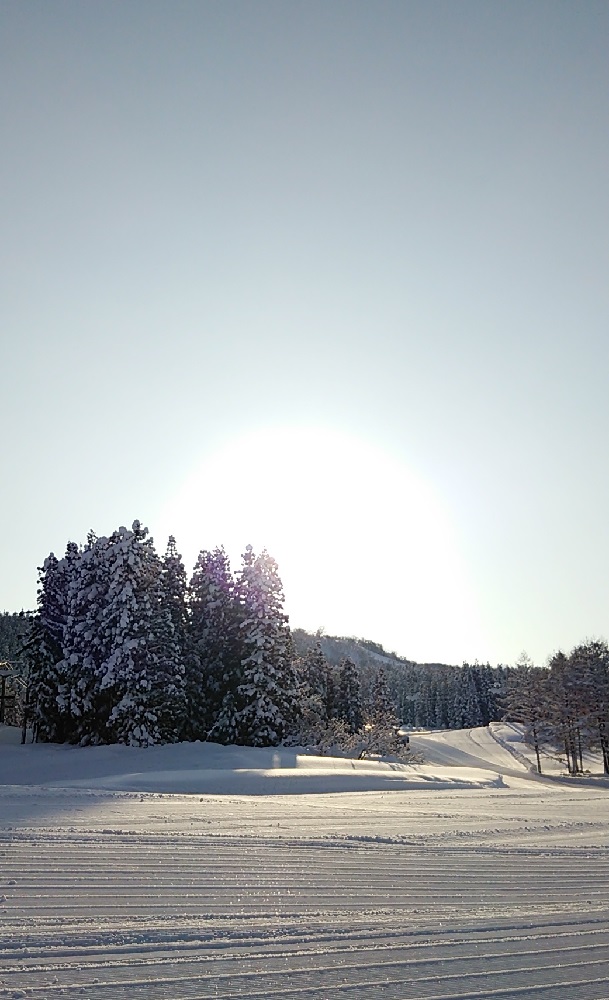b0199924_1945330.jpg