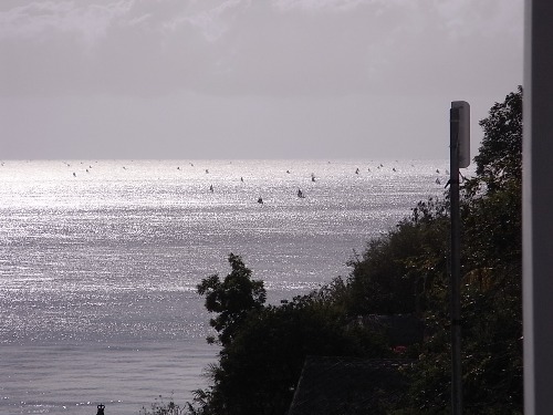 e0039033_11545472.jpg