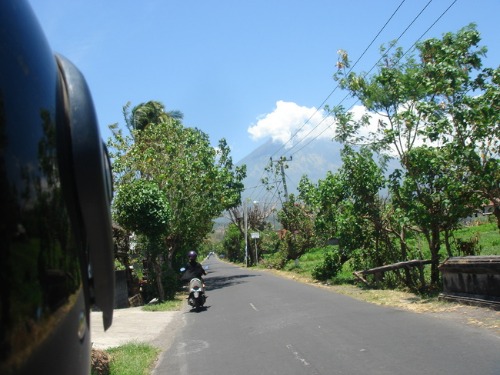 e0039033_1254897.jpg