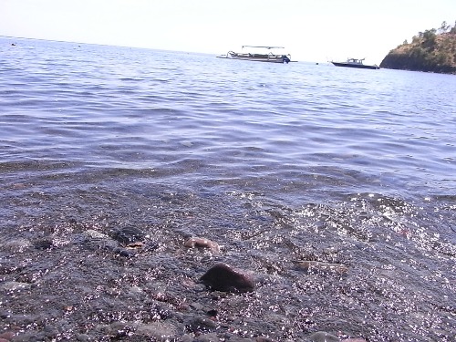 e0039033_20561550.jpg