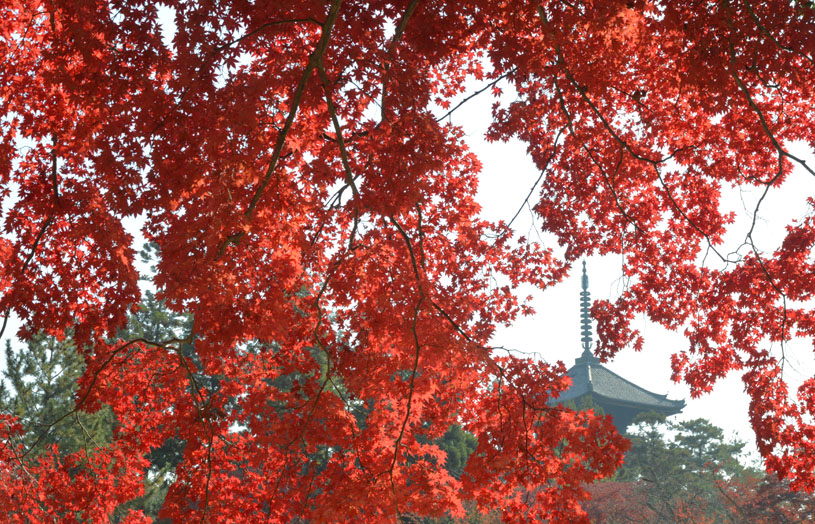 b0042837_6401225.jpg