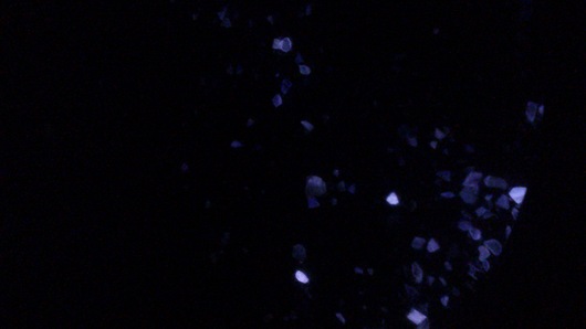 f0280238_23382243.jpg