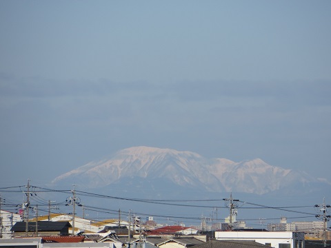 d0120665_1433088.jpg