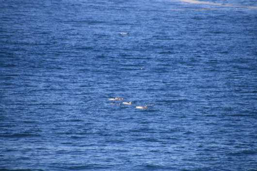 c0115366_16495572.jpg