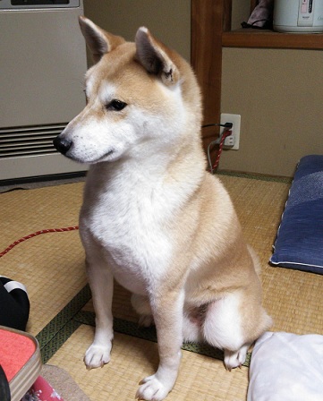 f0230777_20492330.jpg